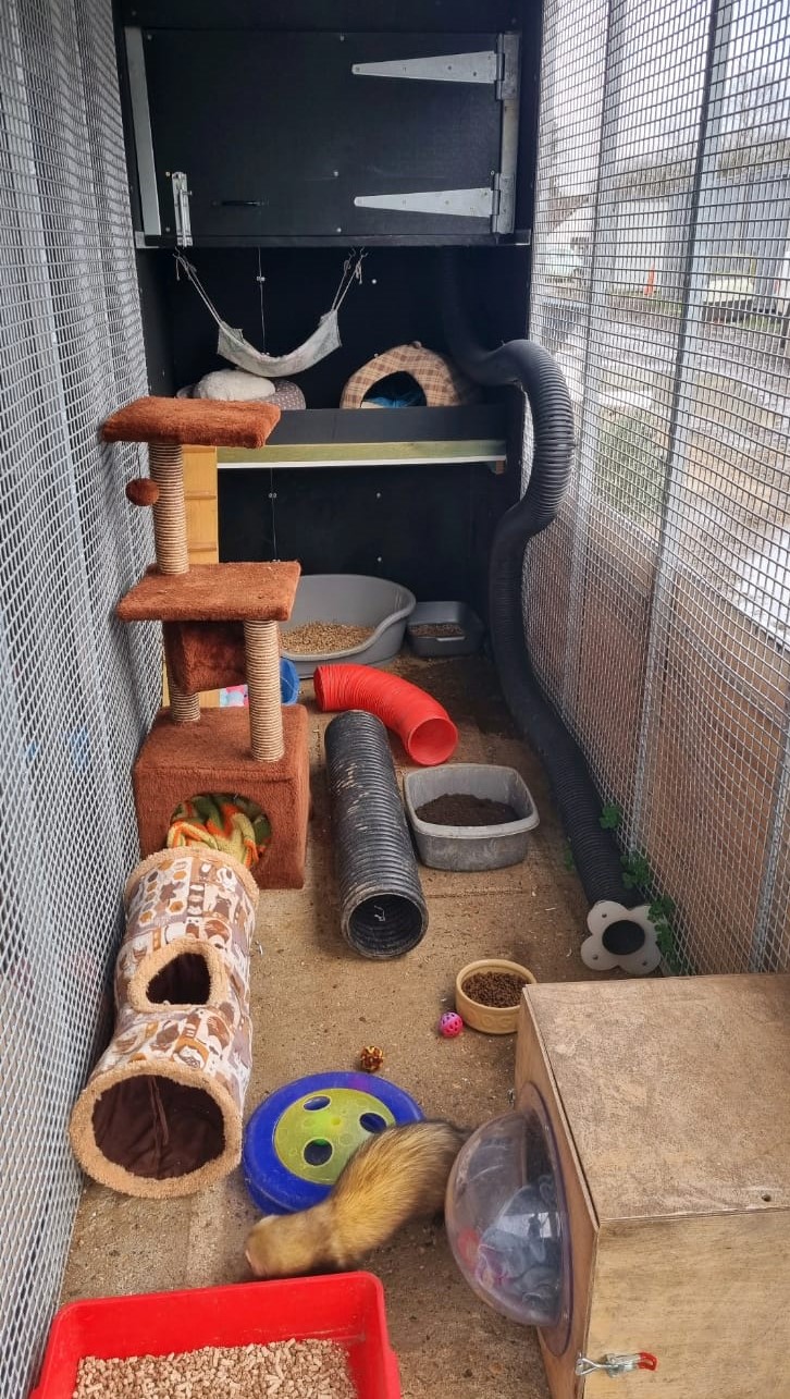 Outdoor ferret sales enclosure